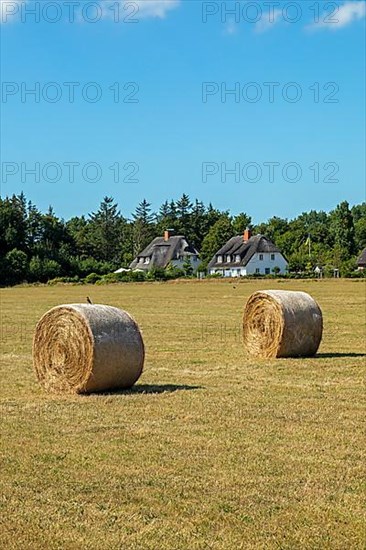 Straw bales