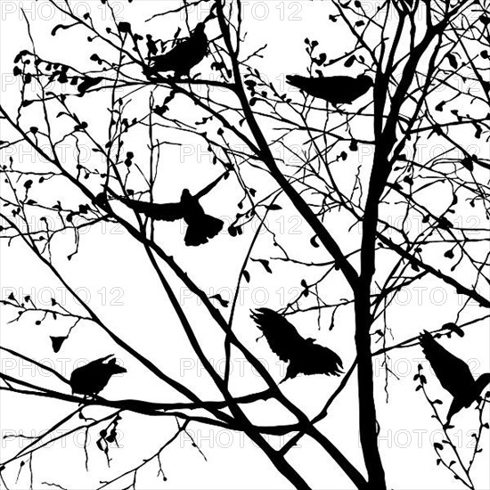 Background illustration with pigeons silhouettes in the trees