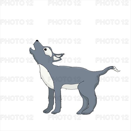 Cute little wolf vector character over white background