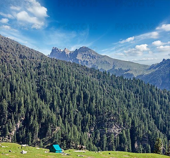 Camp tent in Himalayas mountains