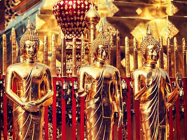 Vintage retro effect filtered hipster style image of Buddha statues in Wat Phra That Doi Suthep