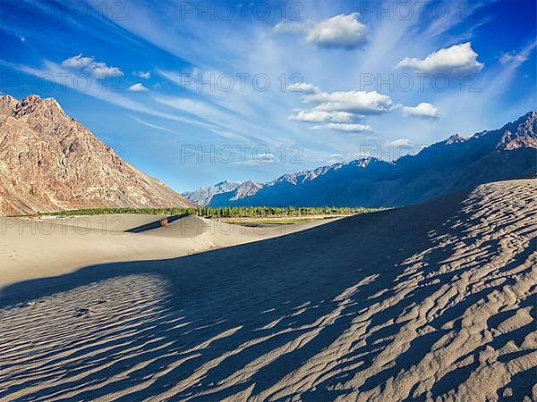 Sand dunes in Nubra valley in Himalayas. Hunder