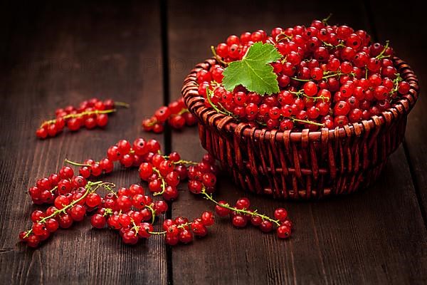 Redcurrant red currant berries in wicker bowl on kitchen table