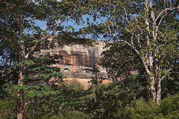 Famous ancient Sigiriya rock. Sri Lanka