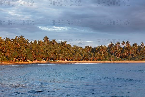 Fishing boats on beach on sunset. Mirissa