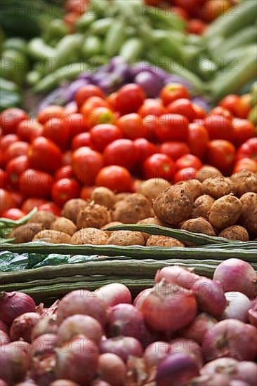 Various vegetables at vegetable market. India