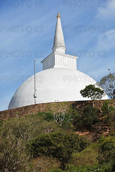 White Mahaseya Dagoba