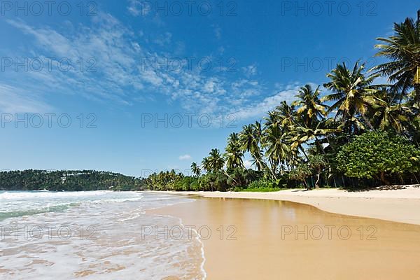 Tropical paradise idyllic beach. Mirissa