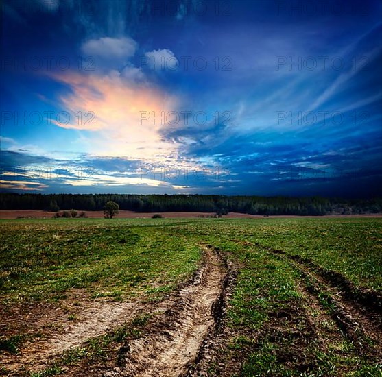 Countryside landscape with dirt road