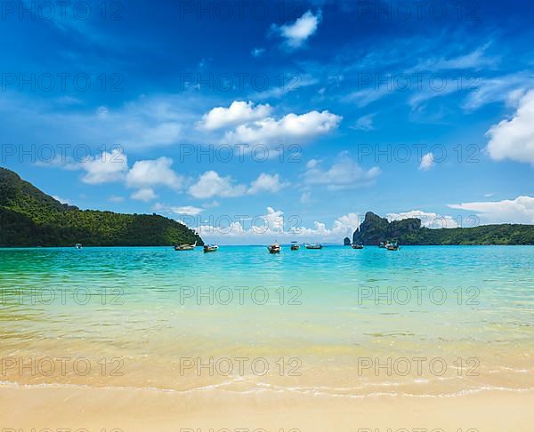 Long tail boats in bay. Phi Phi Island