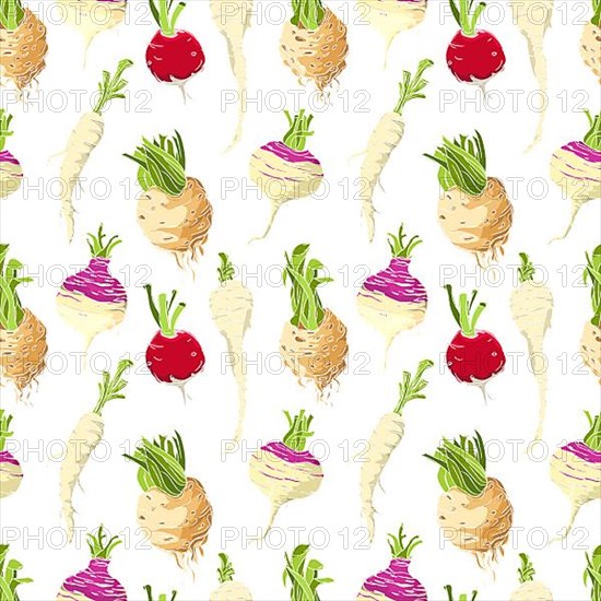 Vegetables roots pattern over white background