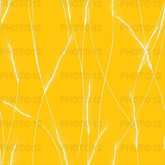 Wheat cereal ears seamless pattern