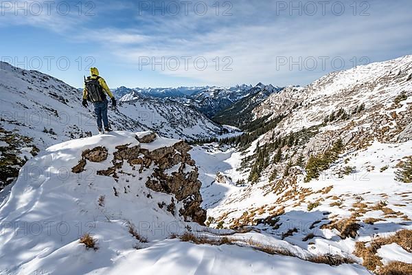 View into the valley of the Koellebach