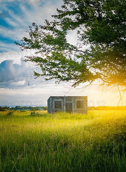 An abandoned house in the field at sunset