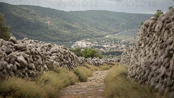 Path between dry stone walls and common lavender