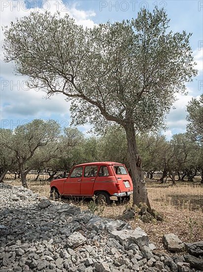 Abandoned Citroen 4