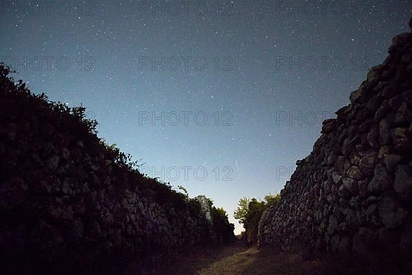 Sky with stars and shooting stars above typical path through olive plantation with dry stone wall at night