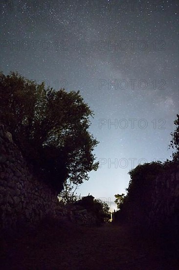 Sky with stars and Milky Way above typical path through olive plantation with dry stone wall at night