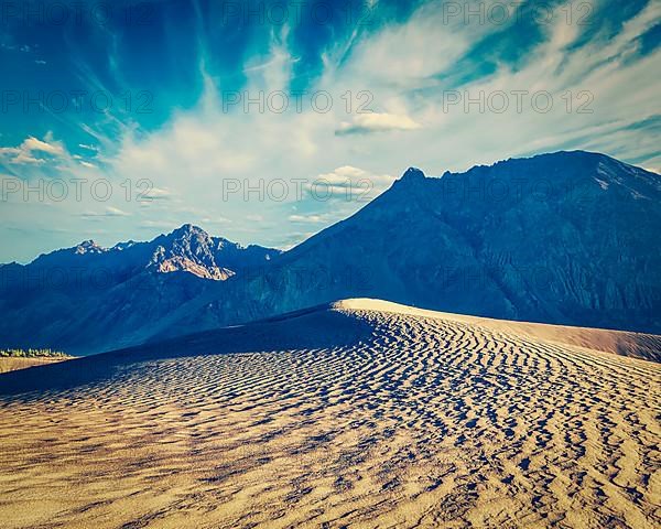 Vintage retro effect filtered hipster style image of sand dunes in Nubra valley in Himalayas. Hunder