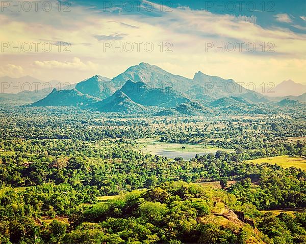 Vintage retro effect filtered hipster style image of Sri Lankan landscape