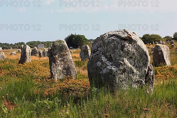 Carnac