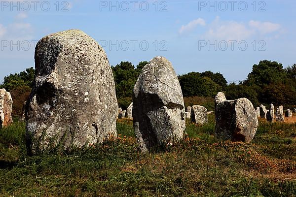 Carnac