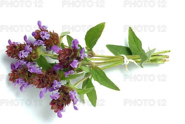 Common selfheal