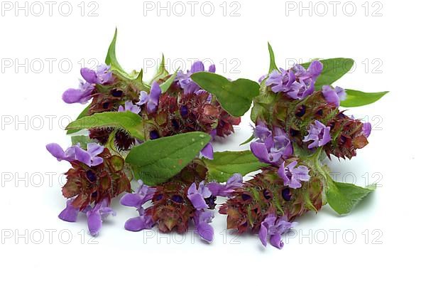 Common selfheal