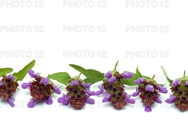 Common selfheal