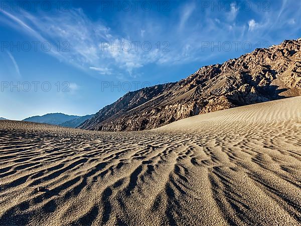 Sand dunes in Nubra valley in Himalayas. Hunder