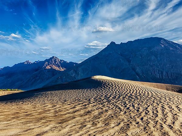 Sand dunes in Nubra valley in Himalayas. Hunder