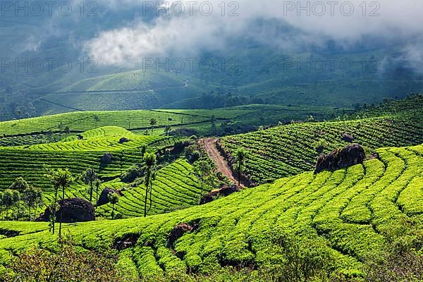 Kerala India travel background