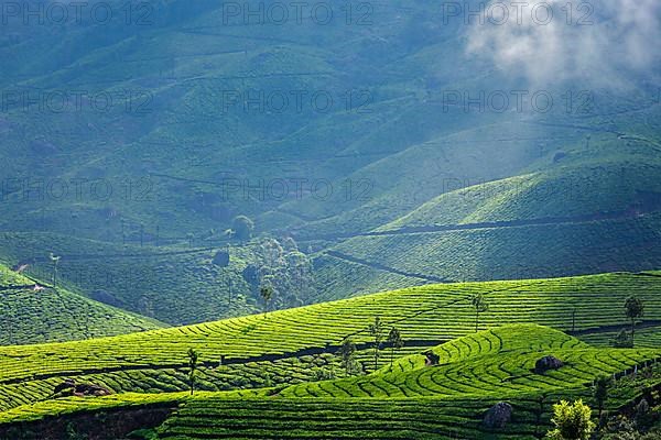 Kerala India travel background