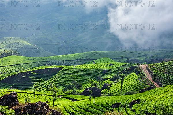 Kerala India travel background