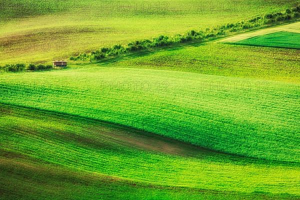 Rolling landscape of green fields in South Moravia