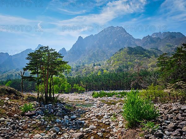 Landscape and trees in Seoraksan National Park