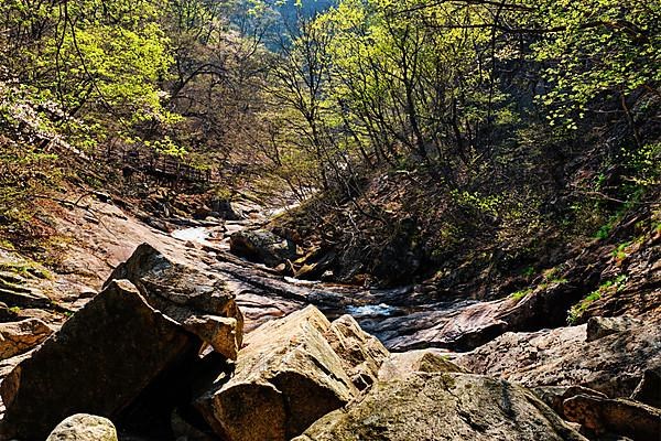 Stream in forest in Seoraksan National Park