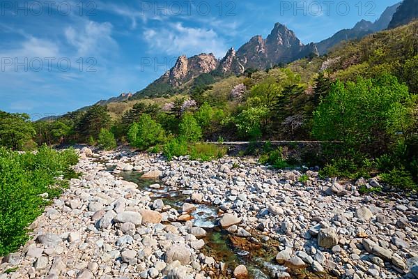 Landscape with stream and trees in Seoraksan National Park