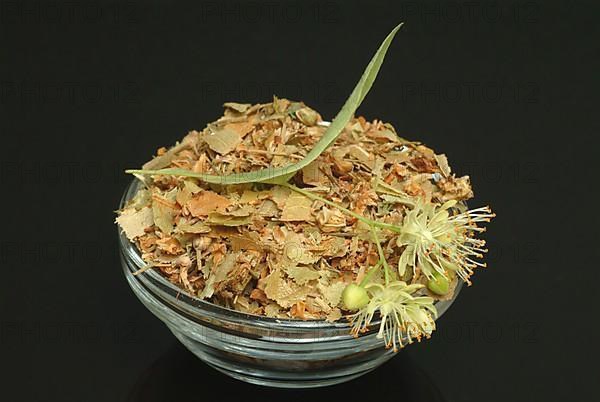 Lime blossoms of the large-leaved linden