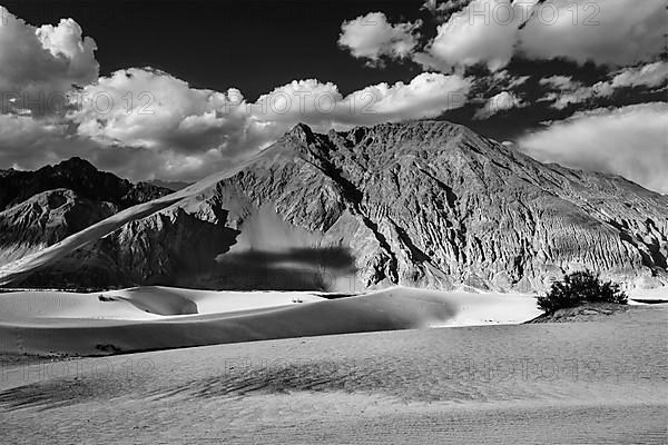 Sand dunes in Himalayas. Hunder