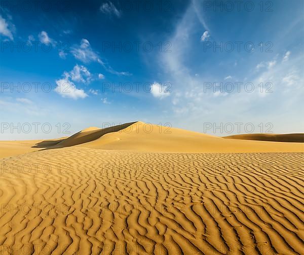 Dunes of Thar Desert. Sam Sand dunes