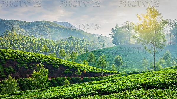 Kerala India travel background