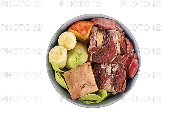 Dog bowl with species appropriated raw food like chunks of raw meat