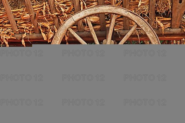 Large orange Halloween pumpkins next to old wooden cart wheel