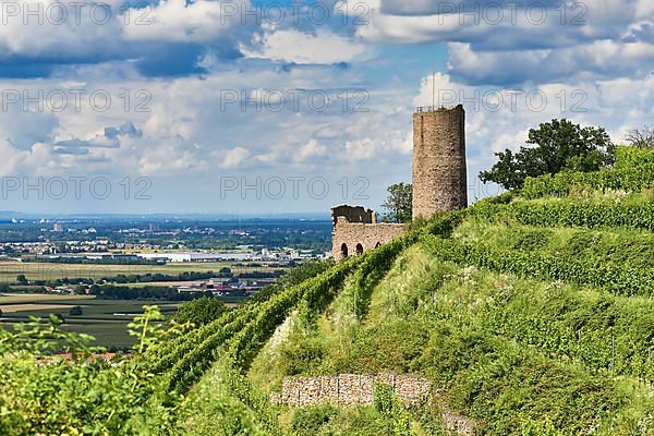 German castle ruin and restaurant called Strahlenburg in Odenwald forest in Schriesheim city