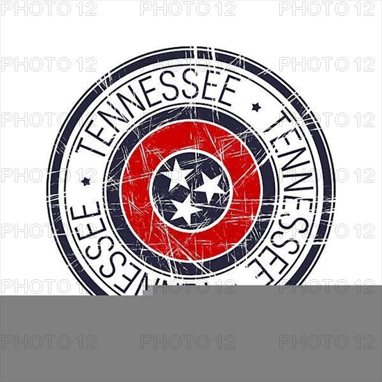 Great state of Tennessee postal rubber stamp