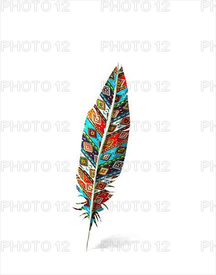 Watercolor style drawing of a American Indian fether and shaddow over white background