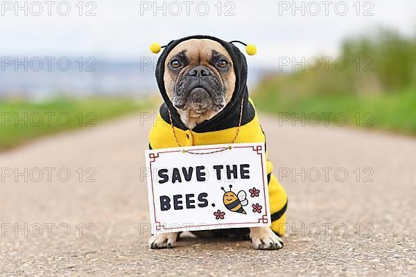 French Bulldog dog wearing bee costume with demonstration sign saying 'Save the bees'