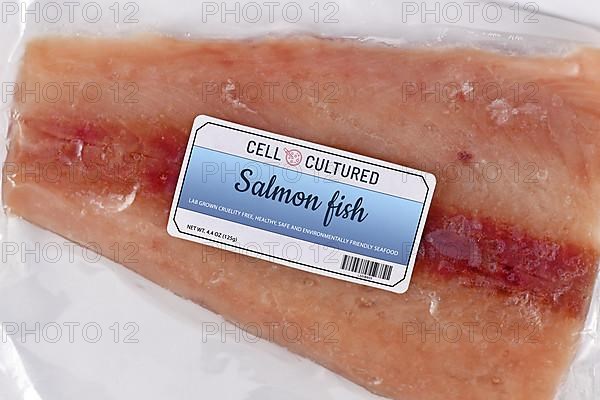 Lab grown cell cultured salmon fish concept for artificial in vitro seafood production with frozen packed raw fish with made up label