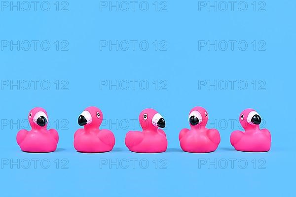 Pink rubber duck flamingos in a row on blue background with copy space